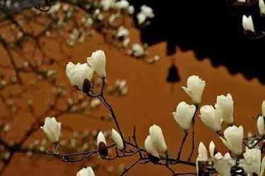 佛教三界论：众生轮回之所与解脱之道