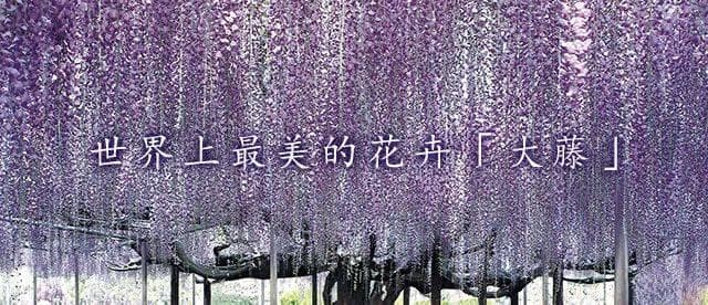 日本深度游最具代表性的景点（文化体验篇）