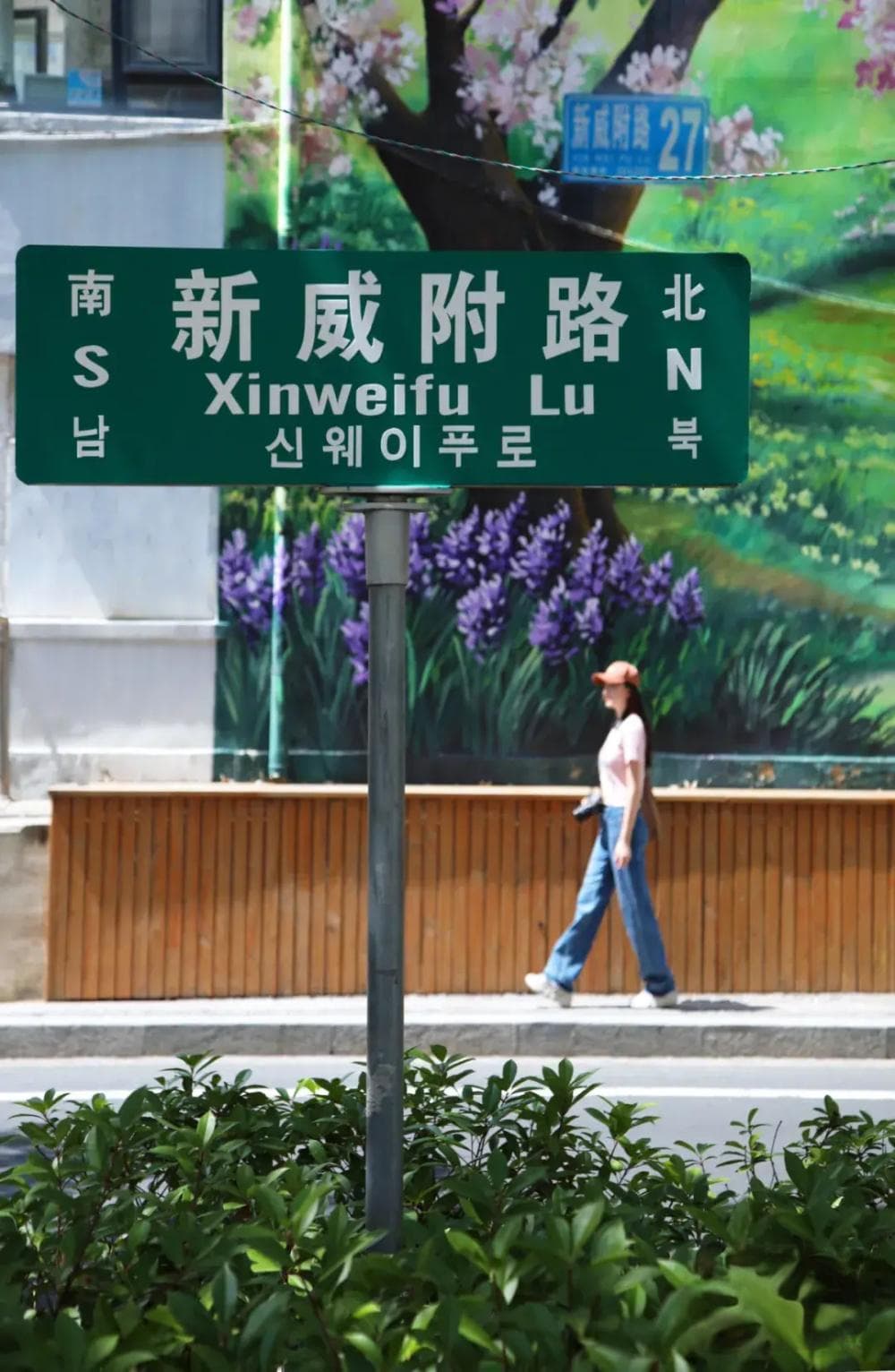 一路风景一路行，在威海的街头走一走