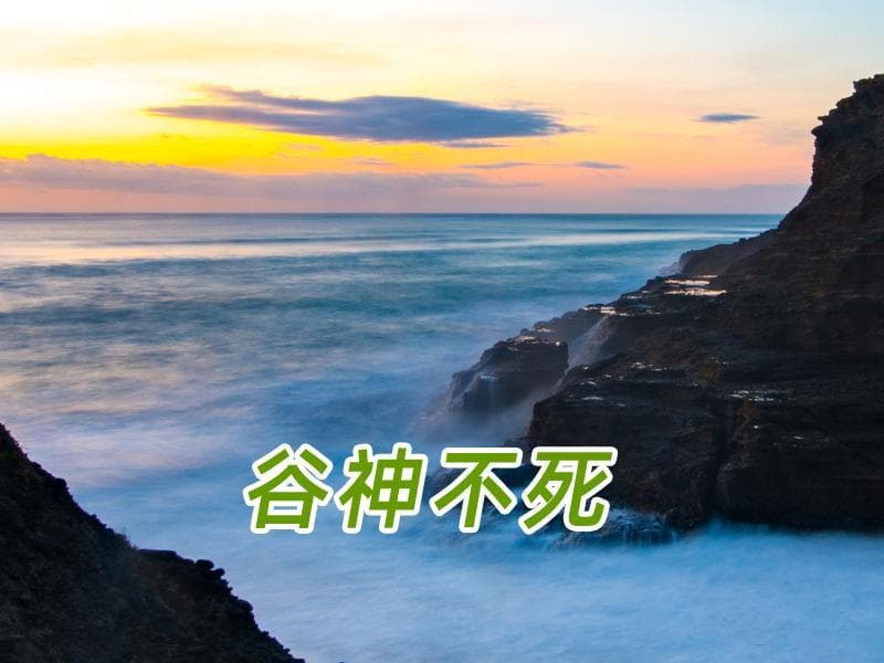 “谷神”神在何处，“玄牝”玄在何方｜《老子·道德经》