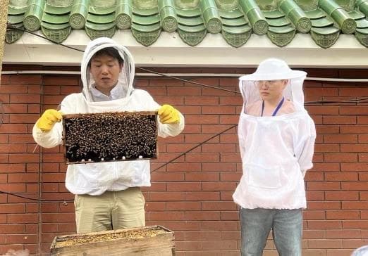 “520”也是世界蜜蜂日，专家：广东一年四季可采蜜