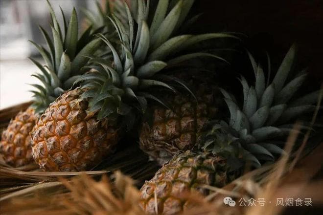 全国十大菠萝品种大盘点：从苹果菠萝到金桂花菠萝，总有一款适合你