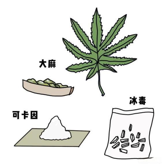 国际禁毒日：让青春远离毒品，让法律护航未来