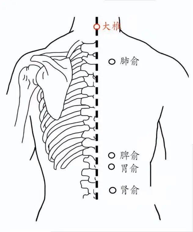 艾灸握在手，“湿气”远离我