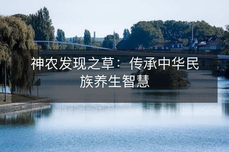 神农发现之草：传承中华民族养生智慧