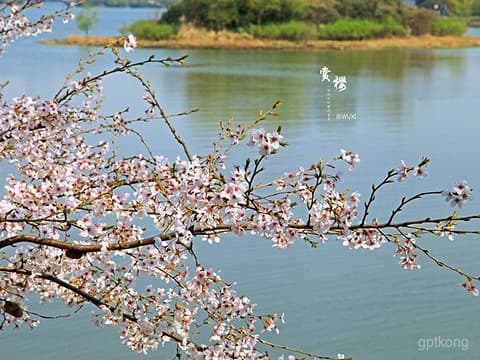 无锡长广溪国家湿地公园：四季变换的自然乐章