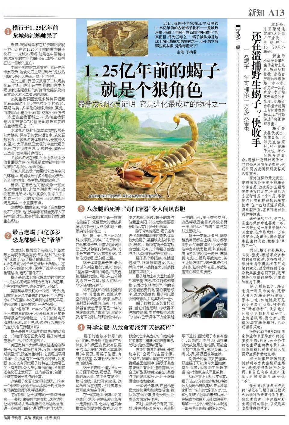 新知｜1.25亿年前的蝎子痞帅痞帅！靠独门绝技“毒霸”天下