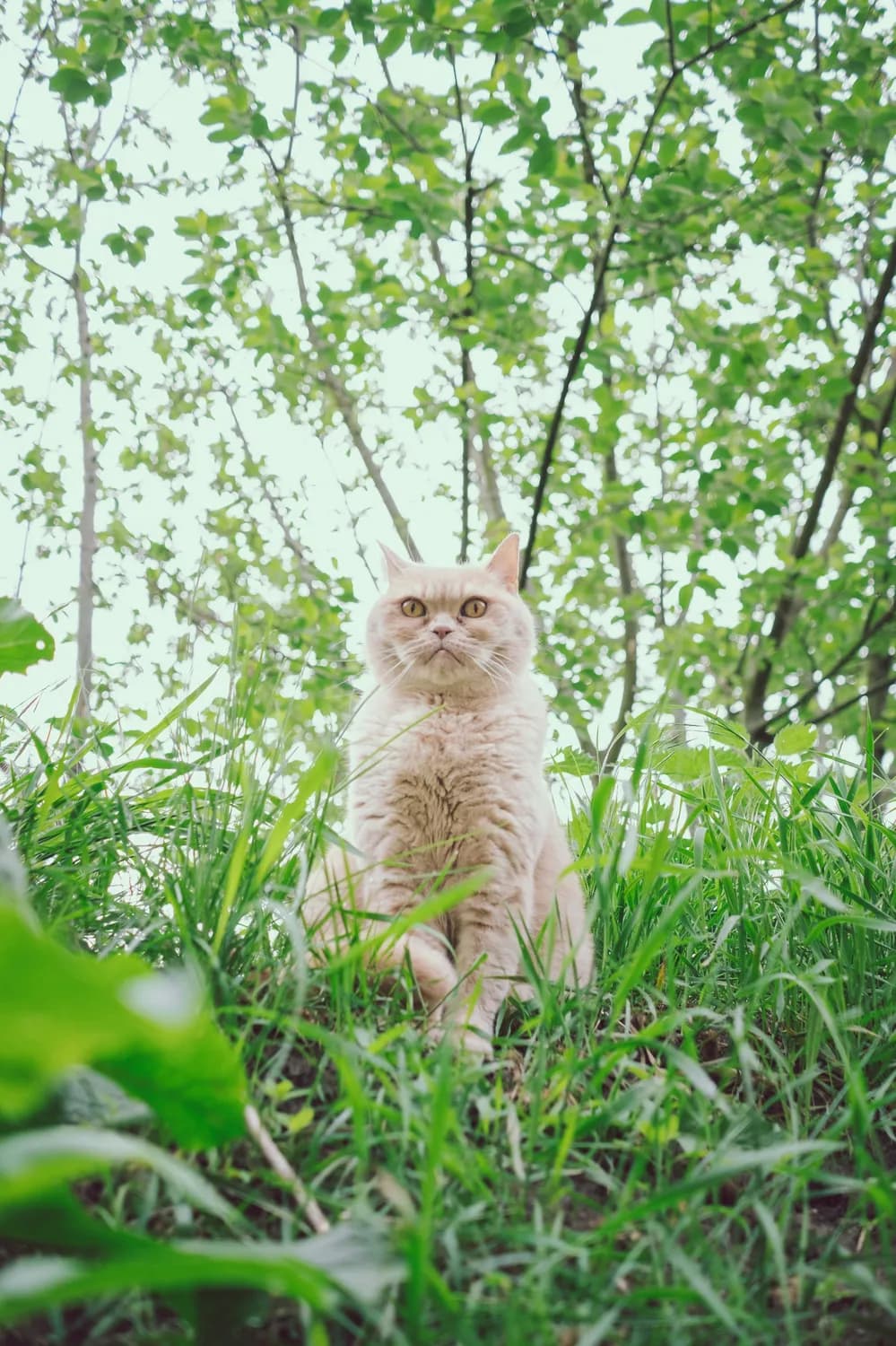 均值不等式的N种解题妙招