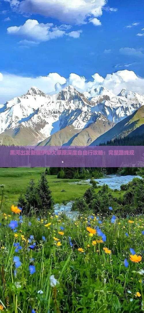 黑河出发新疆伊犁大草原深度自由行攻略：完整路线规划与旅行必备指南