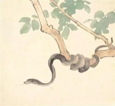 蛇的别称（图）