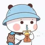 Rust语言在系统编程中的应用