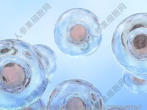 肝功能异常患者能不能做干细胞注射治疗