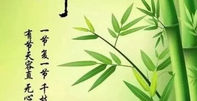 素质与素养的区别