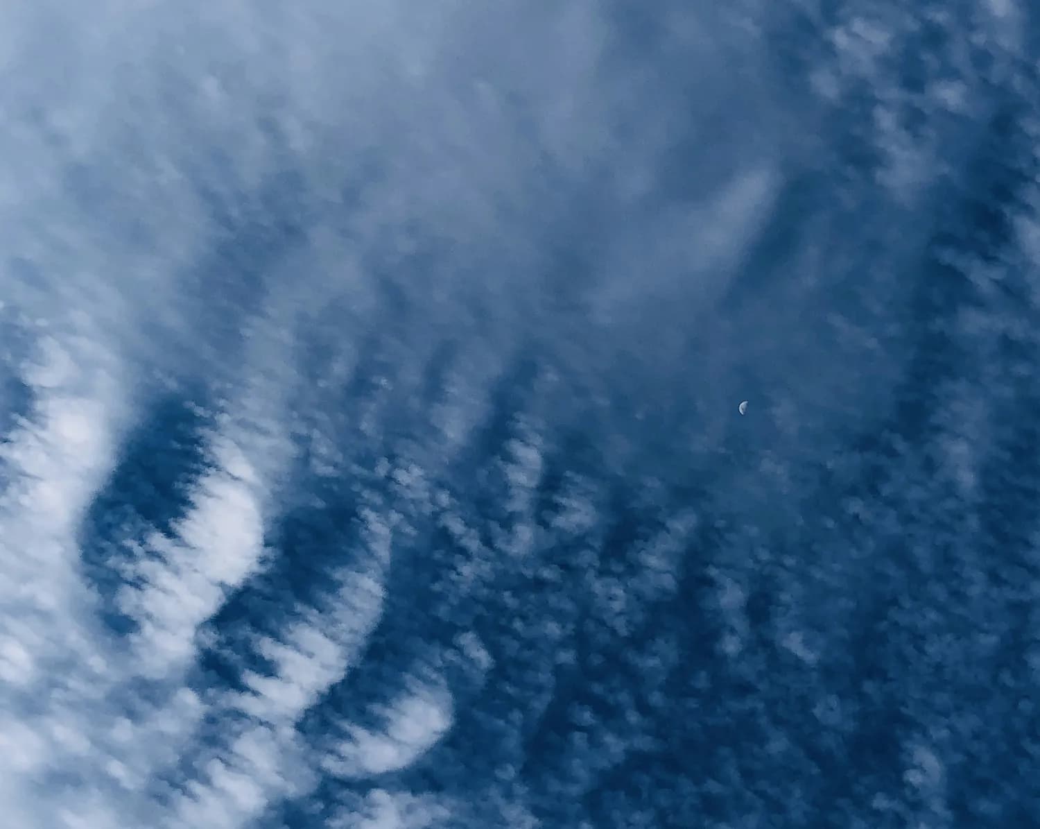 许绍燮院士揭秘地震前兆科学原理：天地时空叠加预测法实现重大突破