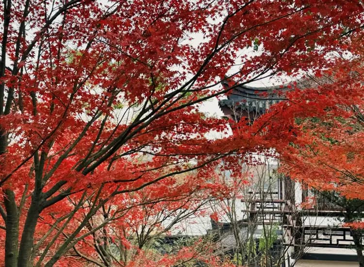 苏州有什么山？苏州 “小山” 大赏，解锁不一样的江南韵味