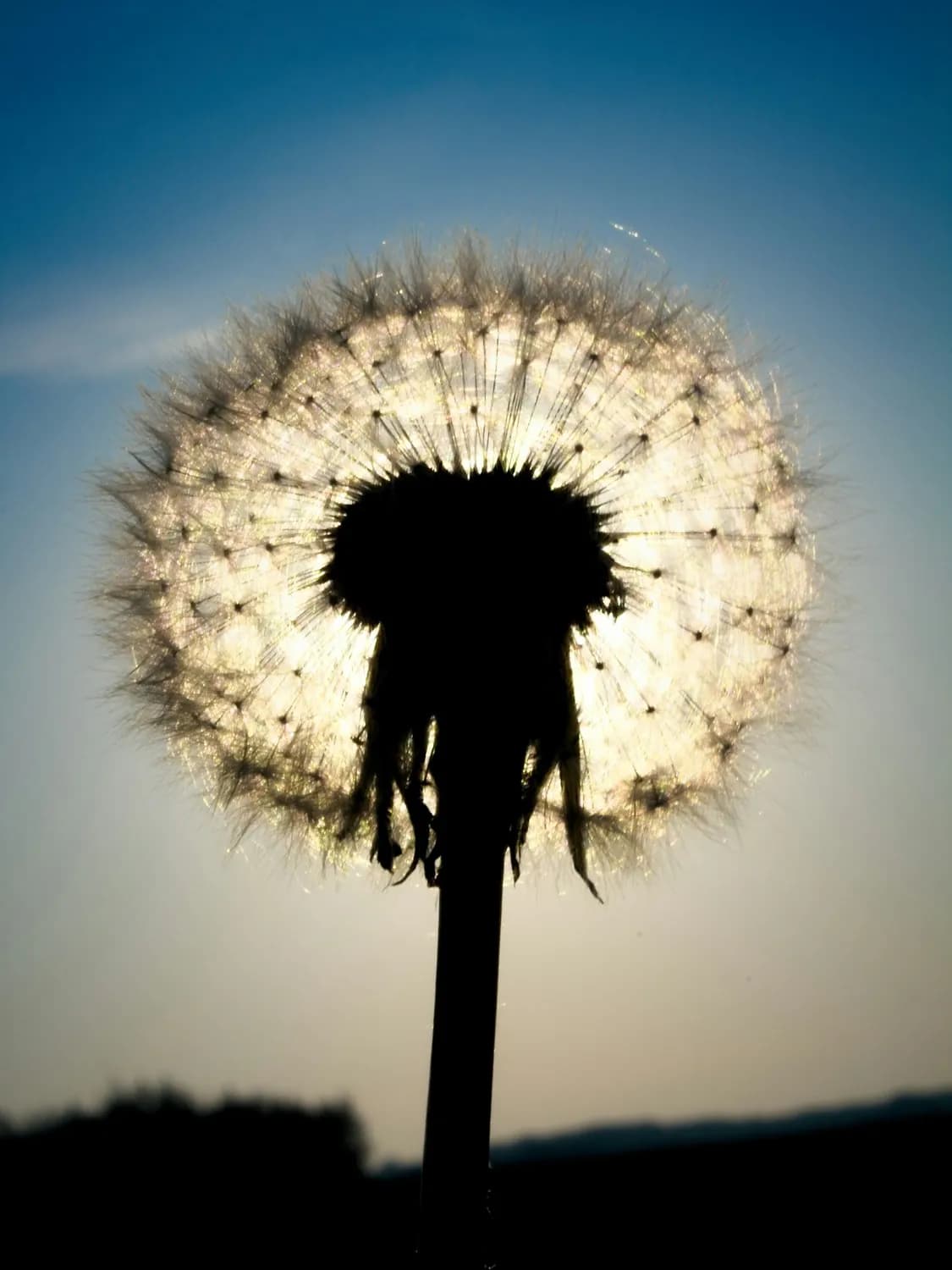 职场沟通技巧：巧妙使用 "wish" 和 "want"