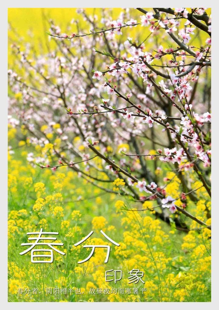 时光相册 | 图说节气：春分印象
