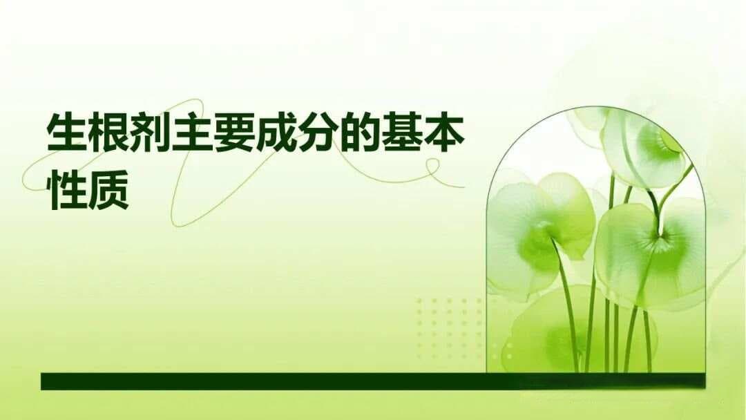 生根剂主要成分的基本性质