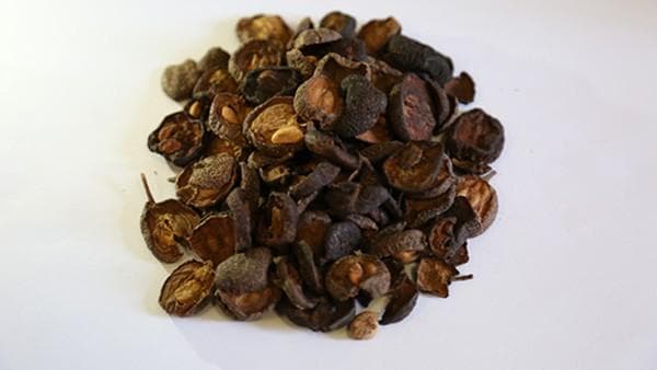 茯神的功效与作用：传统应用到现代研究的全面解析