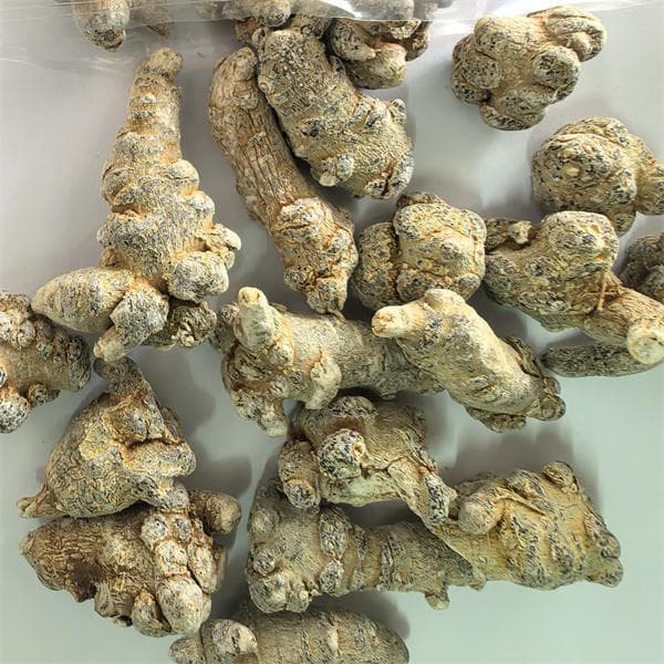 从跌打损伤到心血管疾病：三七的全面功效与服用禁忌