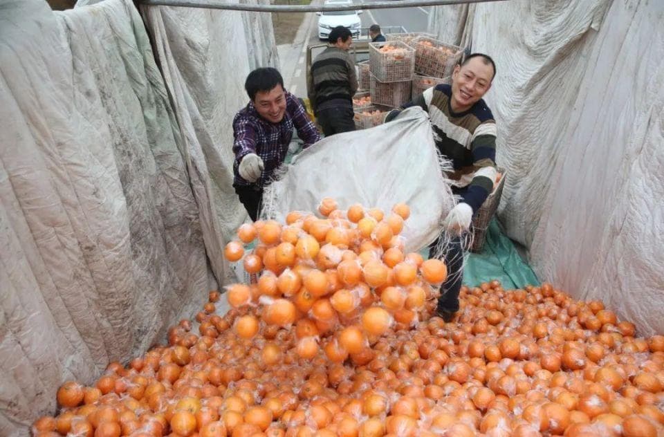 眉山特色农产品大集结，看看哪个最“出圈”？