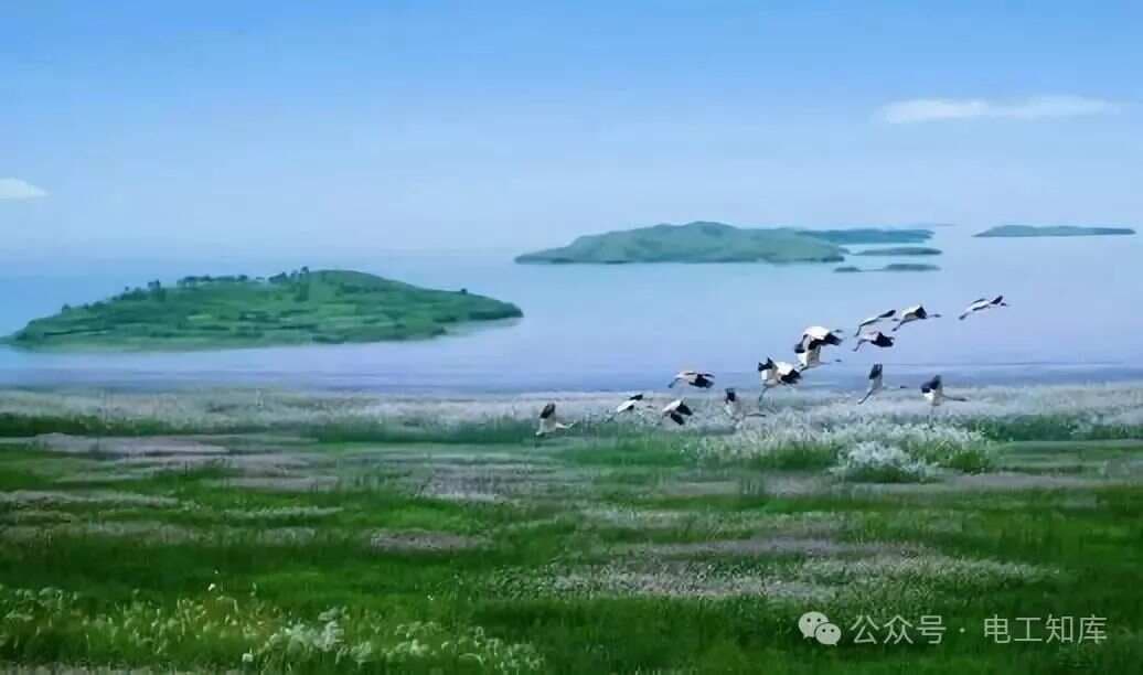 中国四大淡水湖：自然之美与生态价值