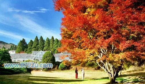 九江到庐山怎么坐车