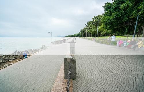 全脂牛奶和低脂牛奶哪个好？ 全面对比分析为您揭晓答案