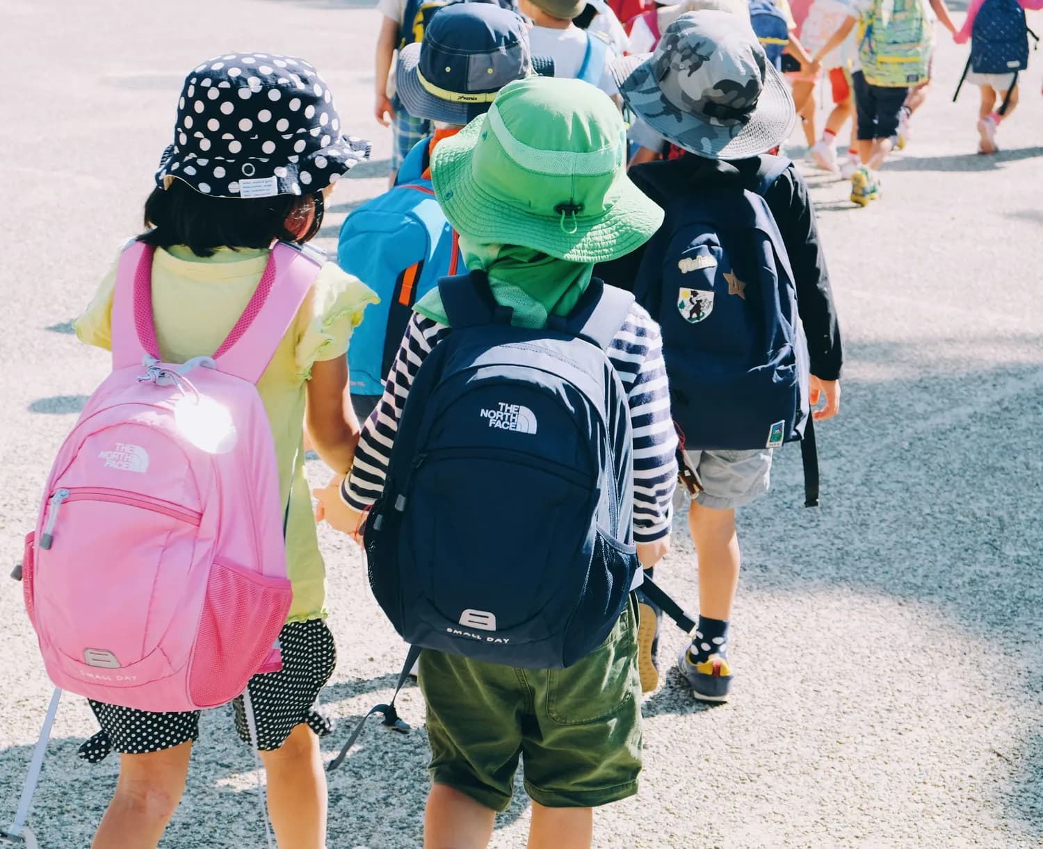 海南省教育厅发布最新校历：新学年时间安排出炉！