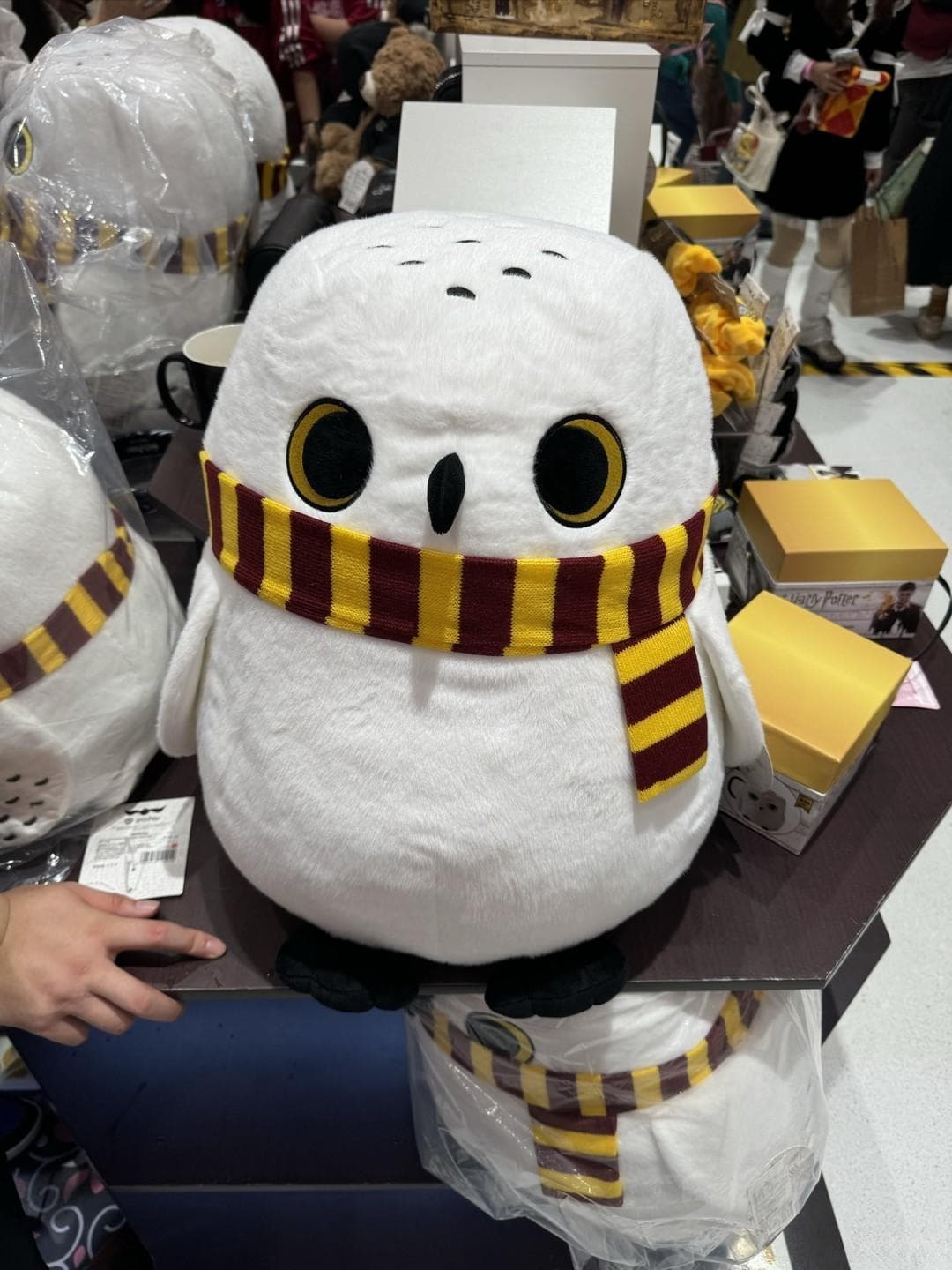 哈利波特周边新品大赏：从百元实用款到万元收藏品