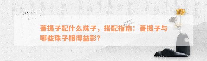 菩提子配什么珠子，搭配指南：菩提子与哪些珠子相得益彰？