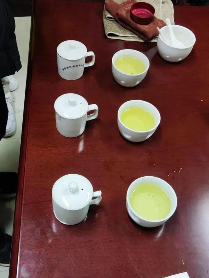 铁观音品饮指南：从选水到冲泡的完整教程