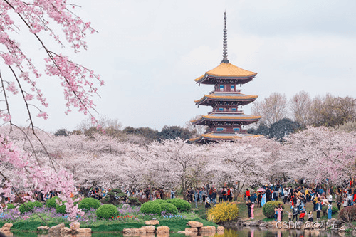 武汉适合几月份去旅游 武汉必去景点