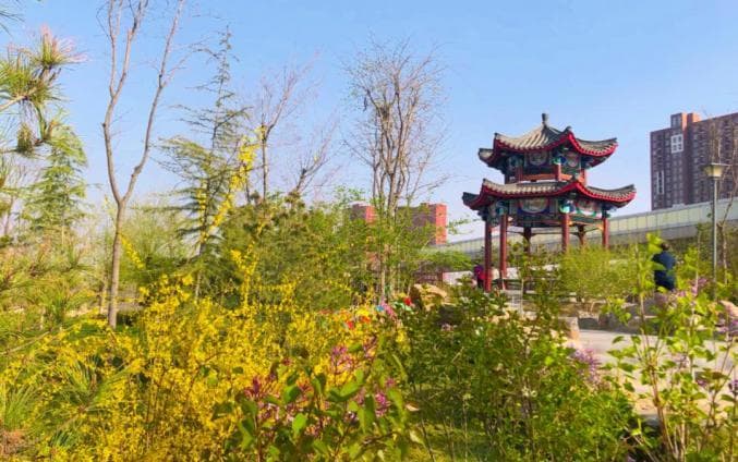 石家庄春季赏花地图：13种花卉观赏指南