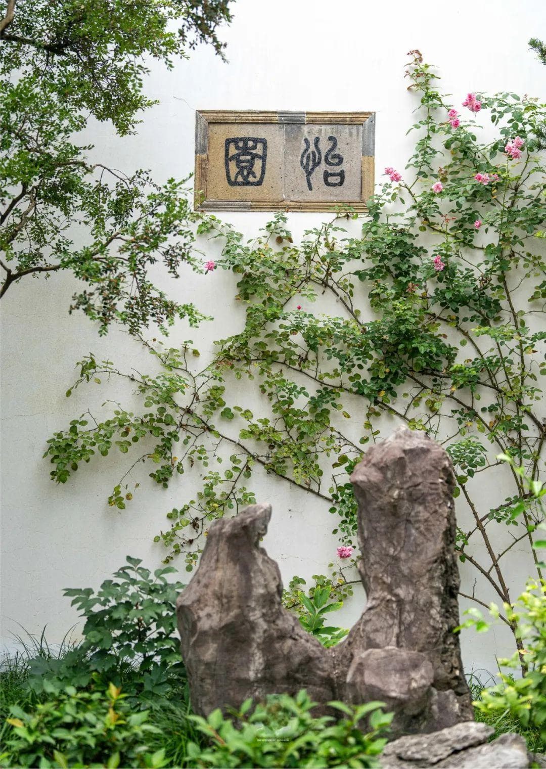 怡园、东山雕花楼、葑门横街……这两部热播剧里的苏州元素你发现了吗