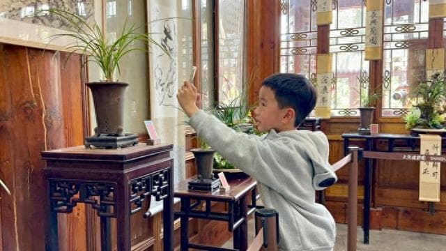 上海植物园春兰展开幕：彩色兰花罕见亮相，非遗技艺展现魅力
