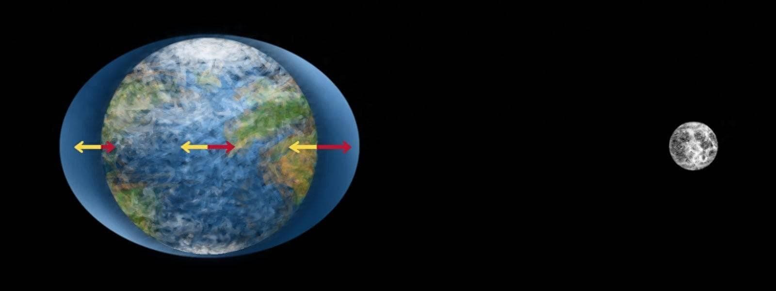 为什么太阳对地球引力远大于月球，但潮汐却主要受月球影响？