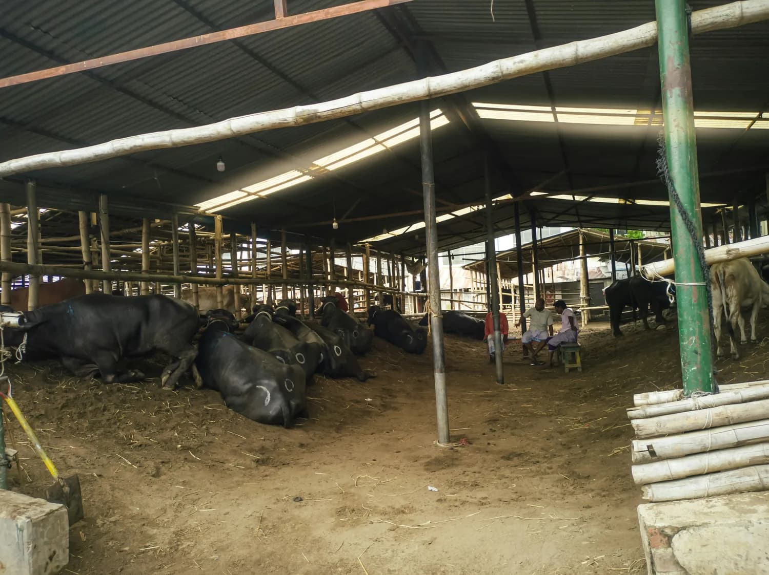 注水肉识别指南：从感官到实验室检测