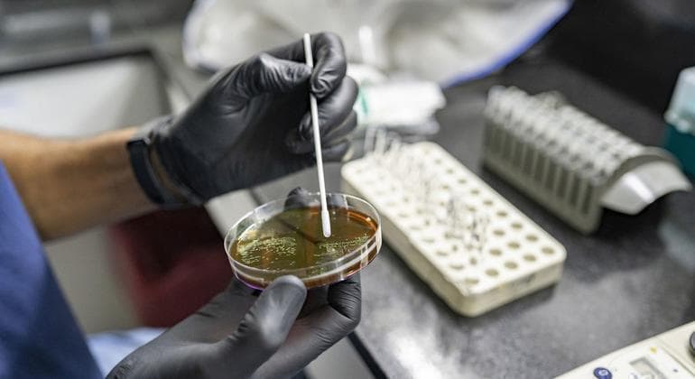 世卫组织总干事: 抗微生物药物耐药性危机正在发生