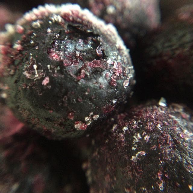 夏季最适合吃10种鱼 美味肥美营养丰富