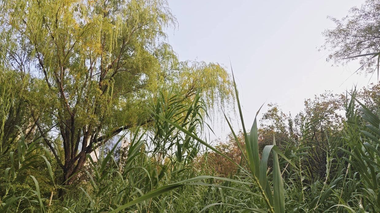 “有之以为利，无之以为用”的深入解读