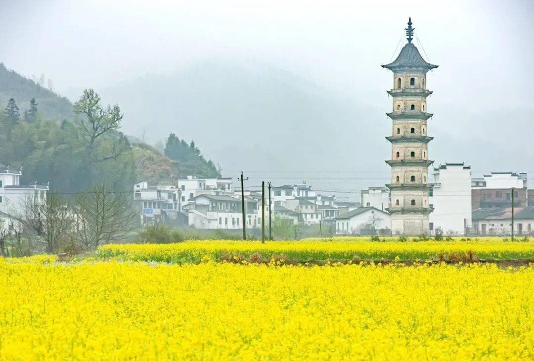 国内15个最适合春季旅游的城市，3-5月想旅行的快来挑~