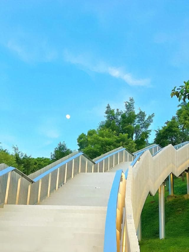 在深圳，地铁直达！鲜有人知的小众公园，人少景美 可遛娃散步