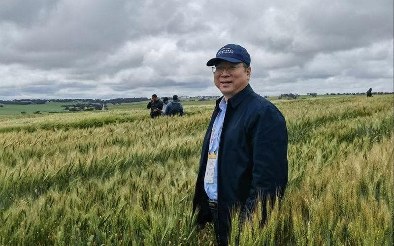 一号文件为何今年没提产粮目标？首席科学家解读粮食生产新任务
