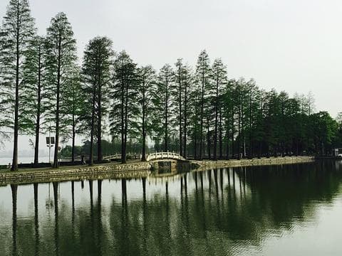 武汉听涛景区旅游攻略：最佳路线、门票价格及必游景点推荐