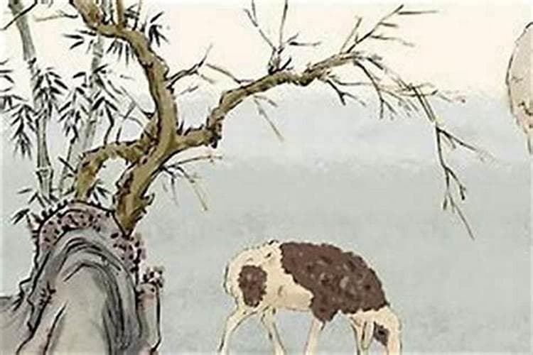 马和羊生什么属相的宝宝好？
