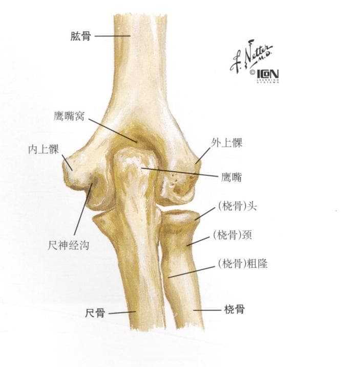 五种与体育项目有关的骨科常见疾病的诊治