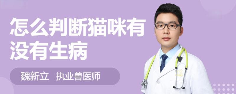 怎么判断猫咪有没有生病