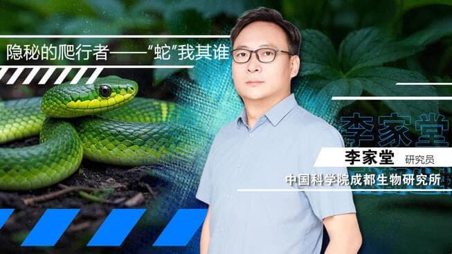 科学揭秘：2025，“蛇”我其谁？揭秘隐秘的爬行者
