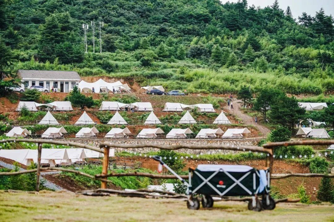 临安露营：高山草甸、森林奇遇、蓝色山谷的隐世天堂